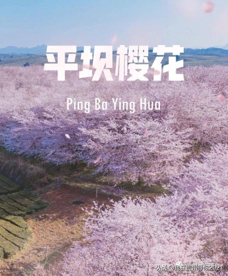 翻滚吧大脚车