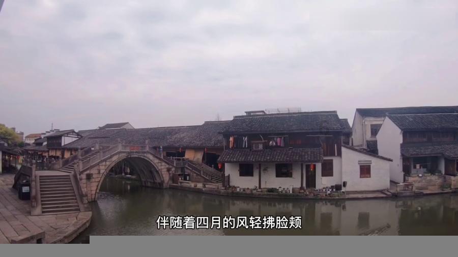 济宁又整活啦!看看还缺哪个显眼包